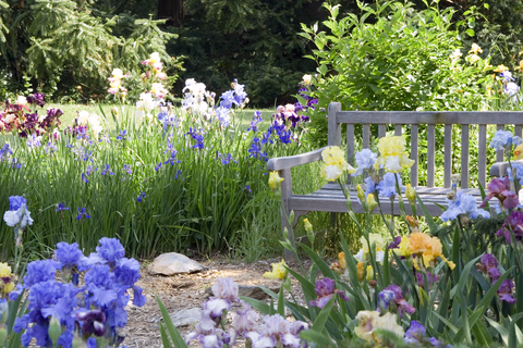 Greendale, Howick view