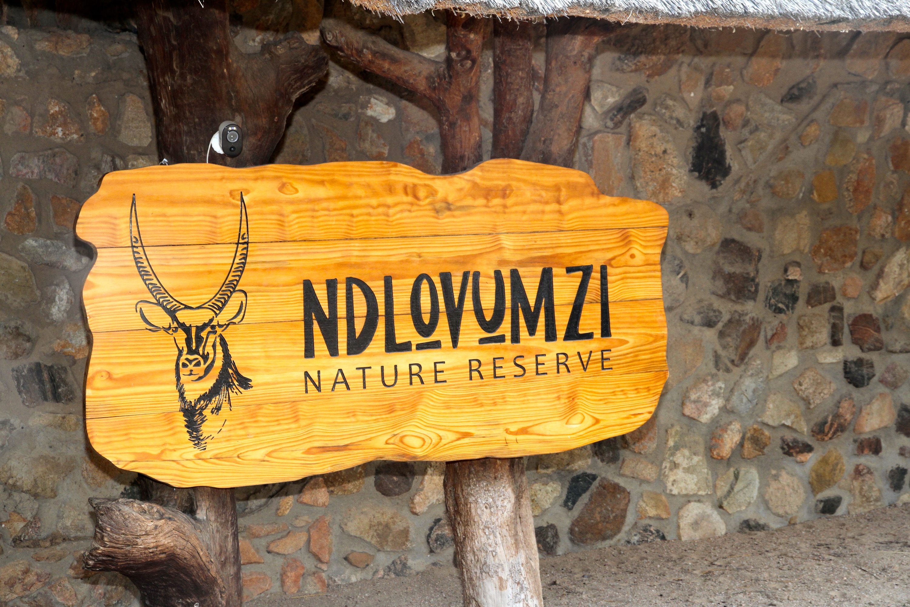 Ndlovumzi Nature Reserve, Hoedspruit view