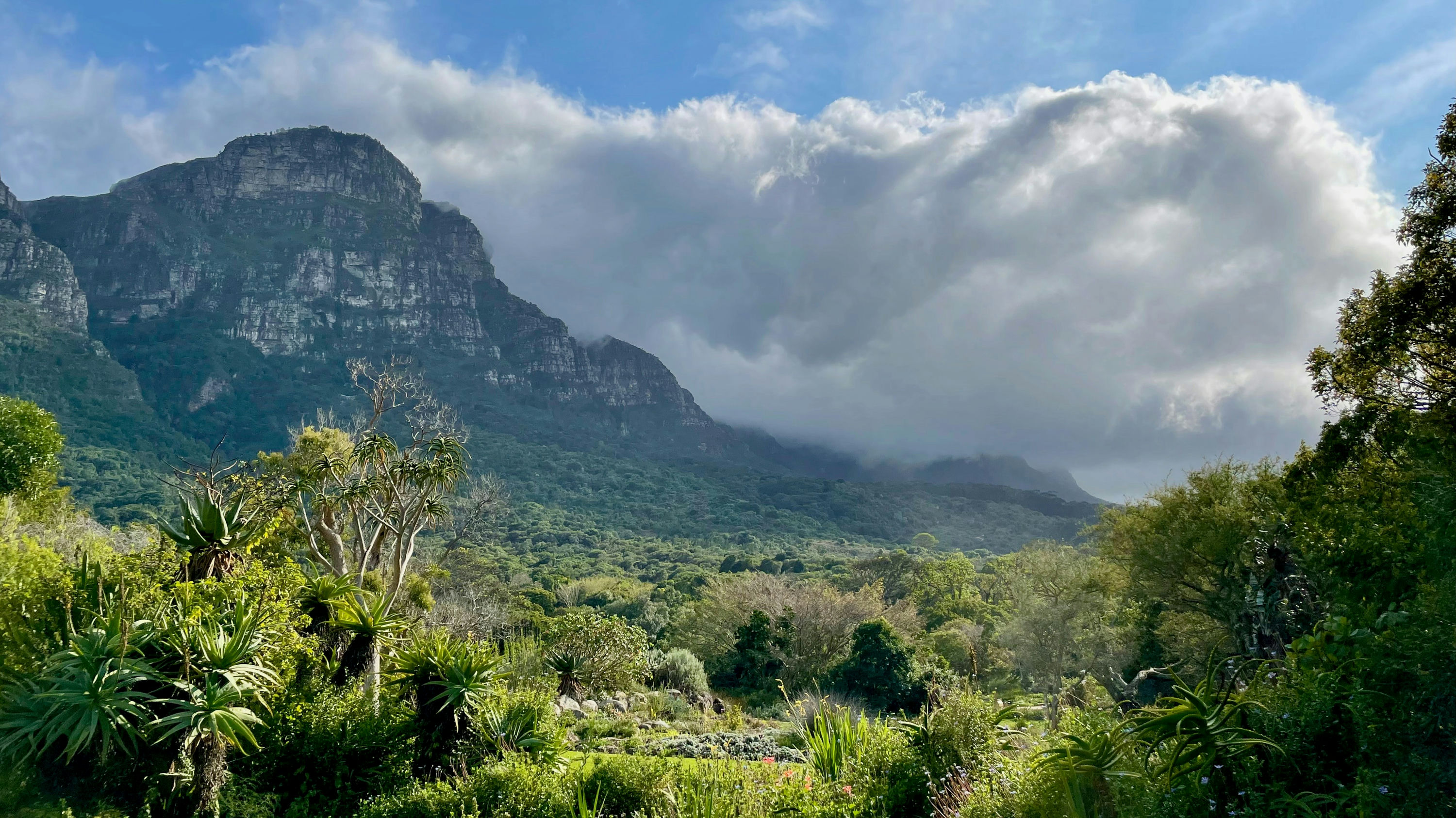 Newlands, Cape Town view