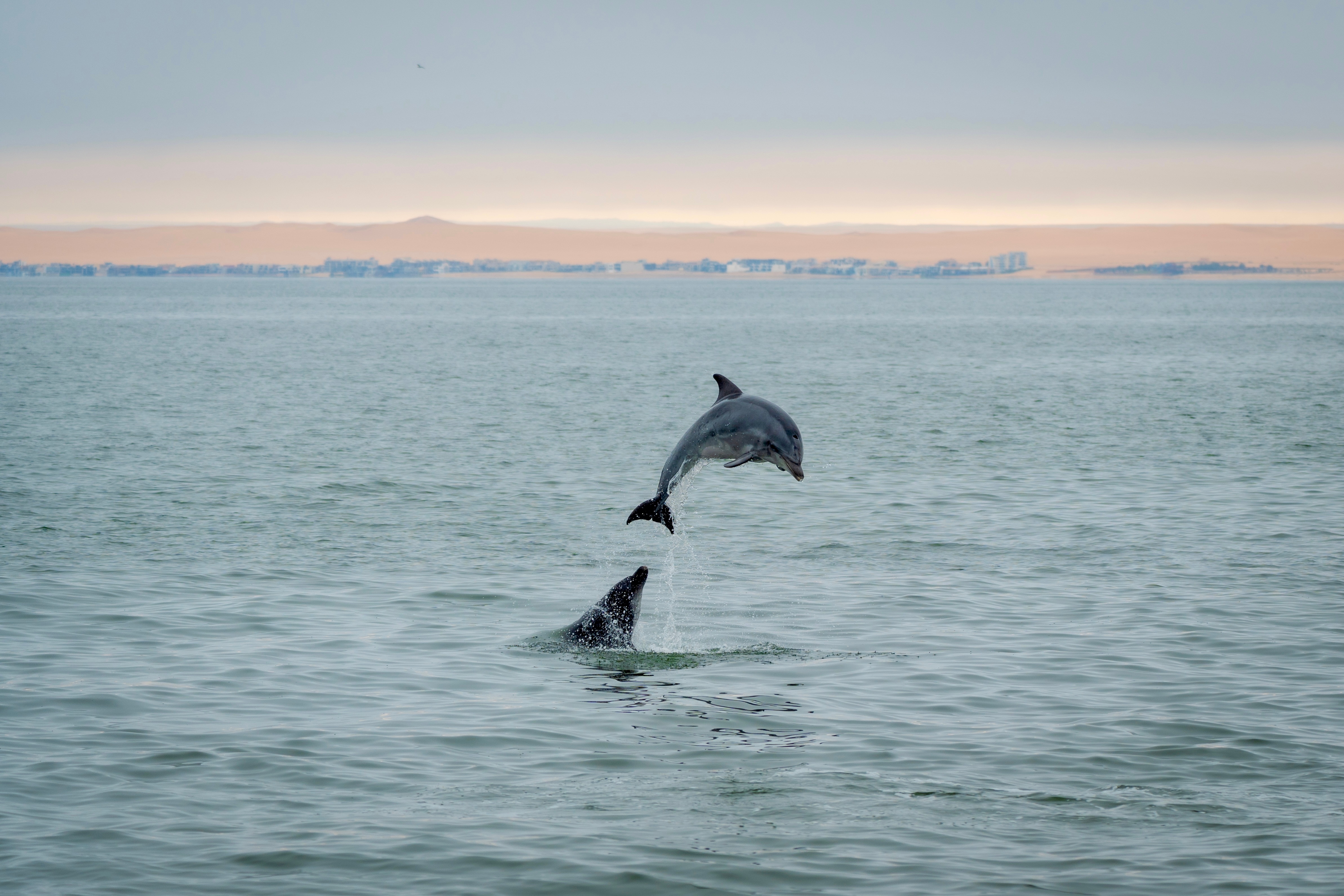 Dolphin Beach, Walvis Bay view
