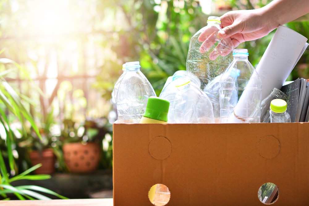 How to become a zero-waste household