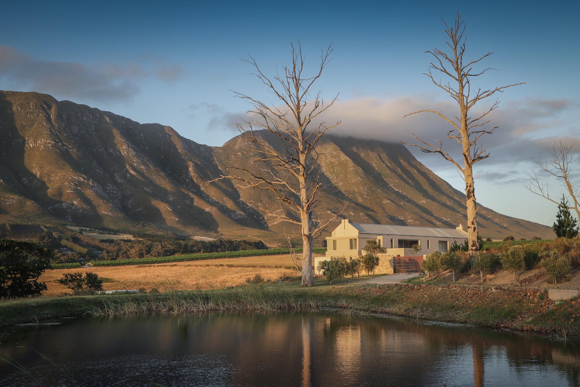 Investors to set their sights on Hermanus wine farms in R25m-R35m range