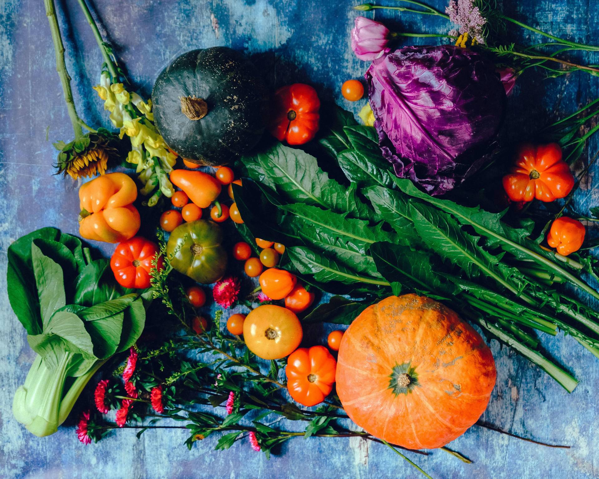How to grow a vegetable garden at home