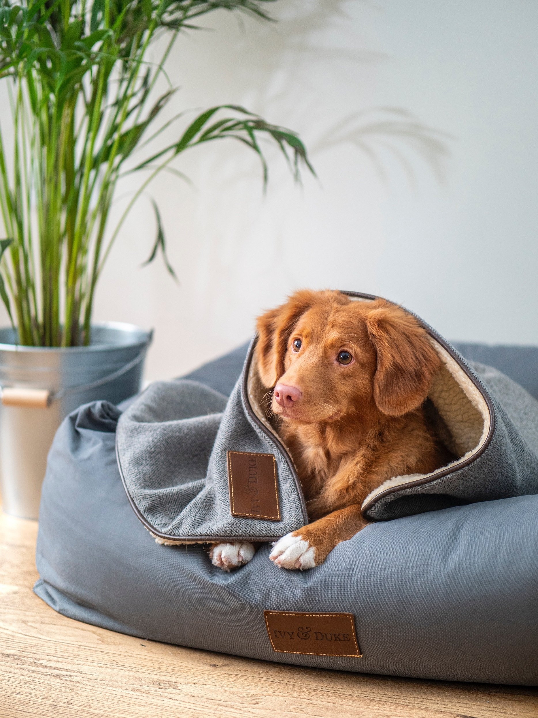 7 things to remove from your house before selling