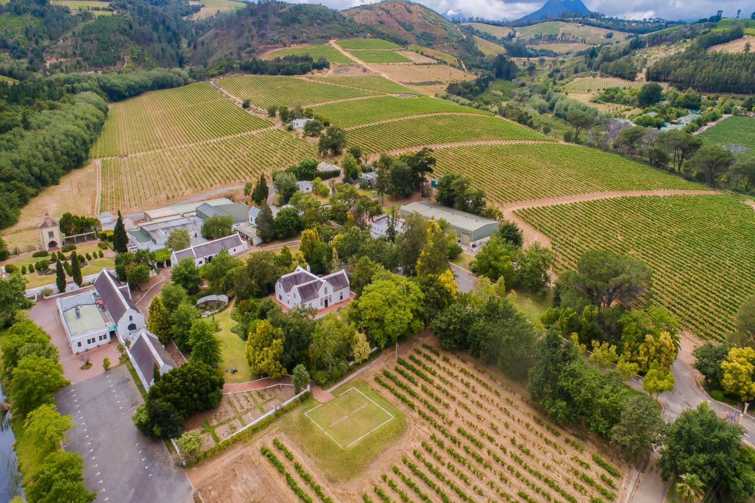 European buyer bags historic Morgenhof Estate for R52.25 million