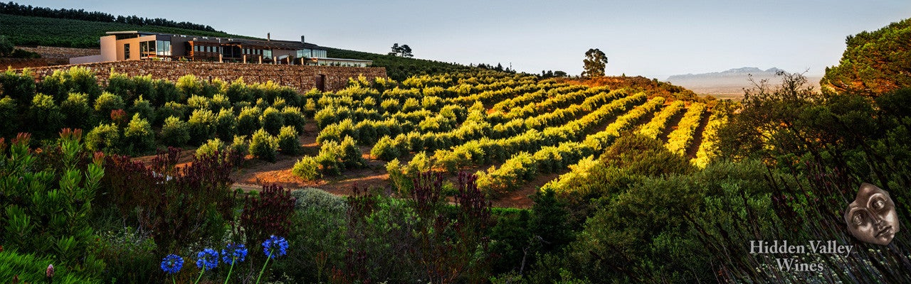 Patrice Motsepe reportedly buys luxury wine farm
