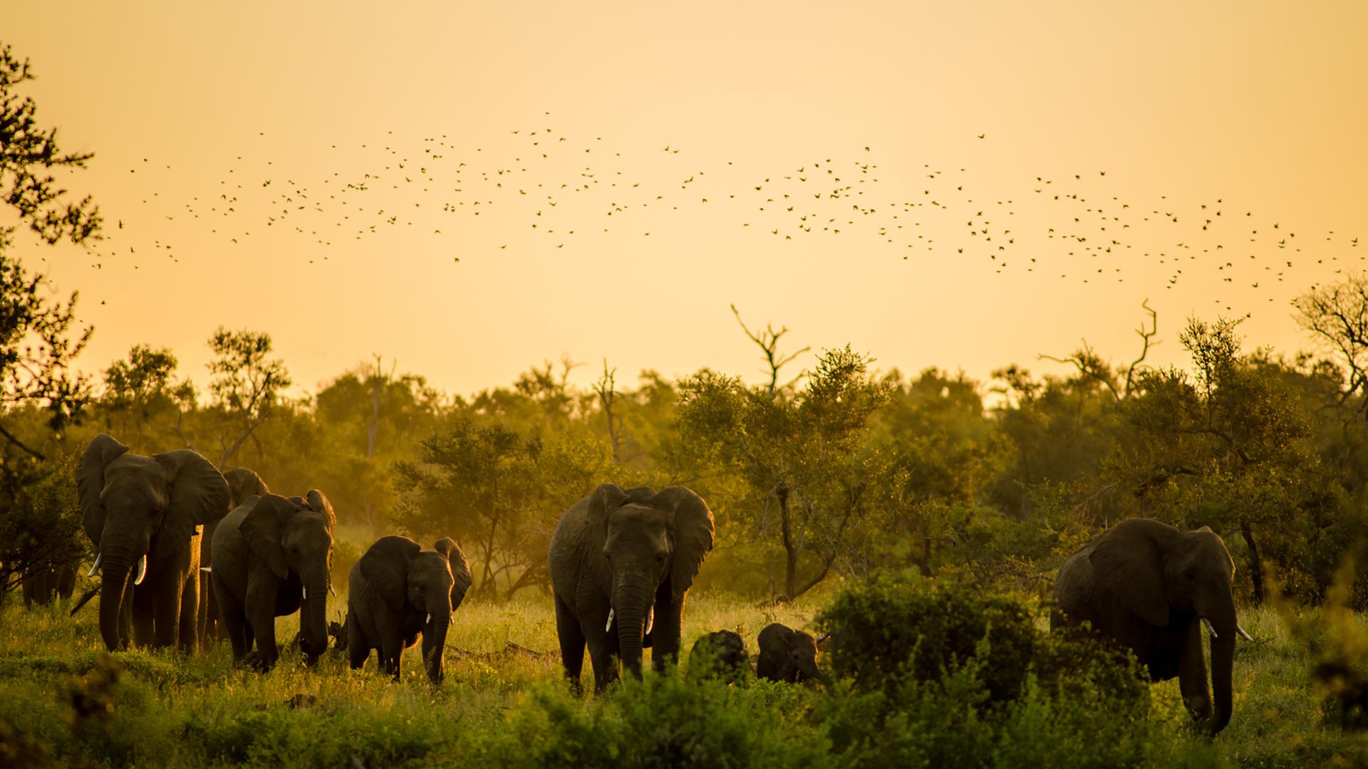 The top 10 wildlife estates in South Africa