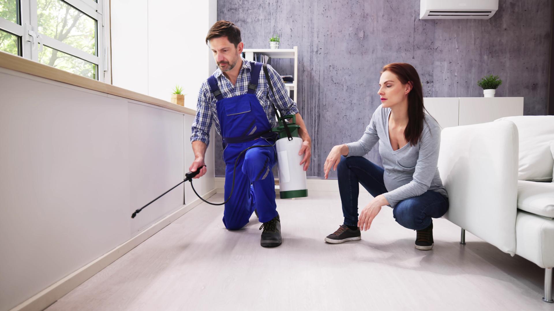 Who is responsible for pest control in a rental property?