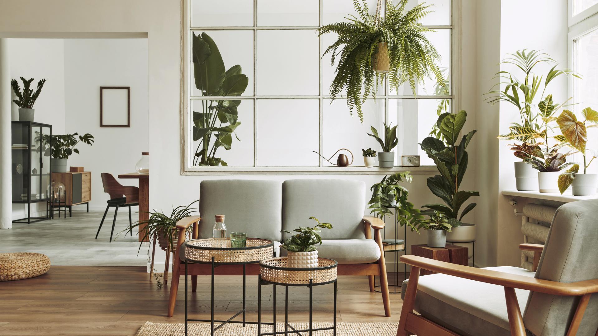 How to stage your property - and why you should