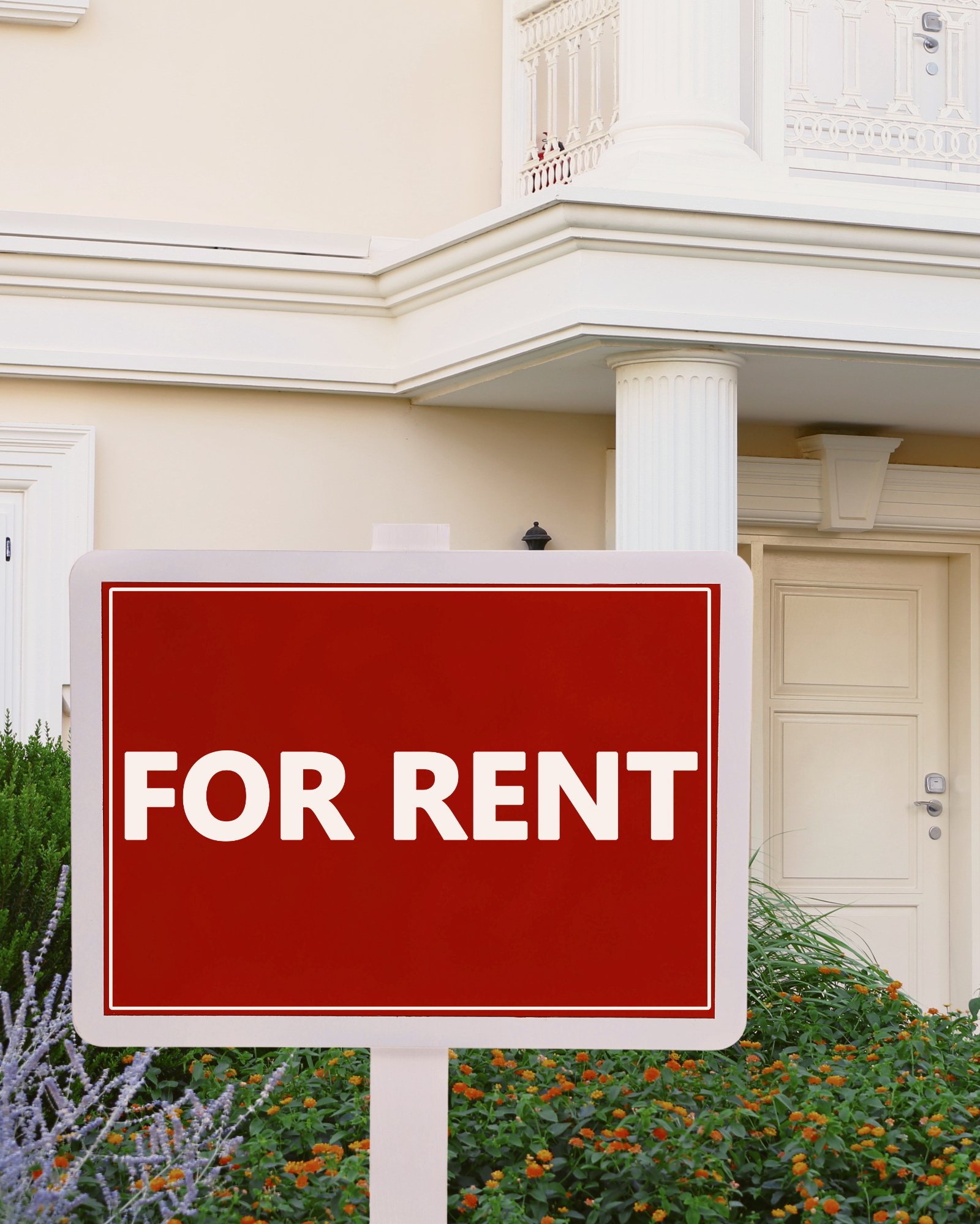 The Short term Rental Revolution MyProperty