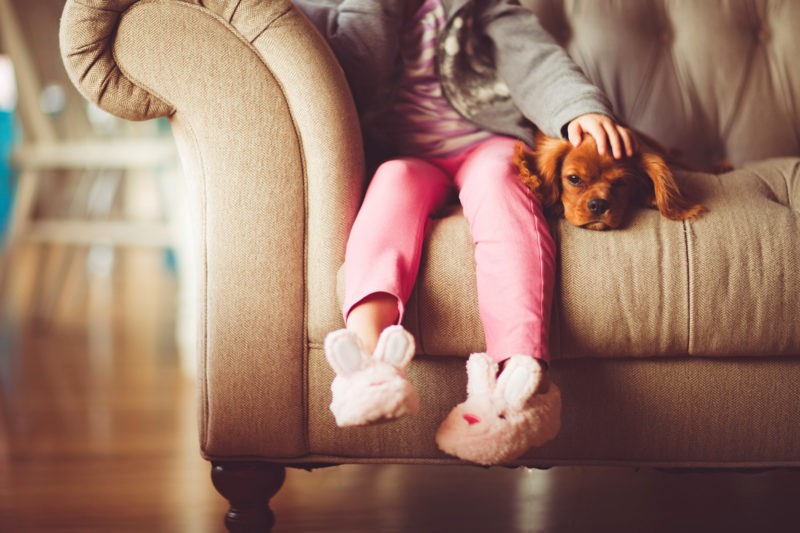 The 'No-Pets' Policy