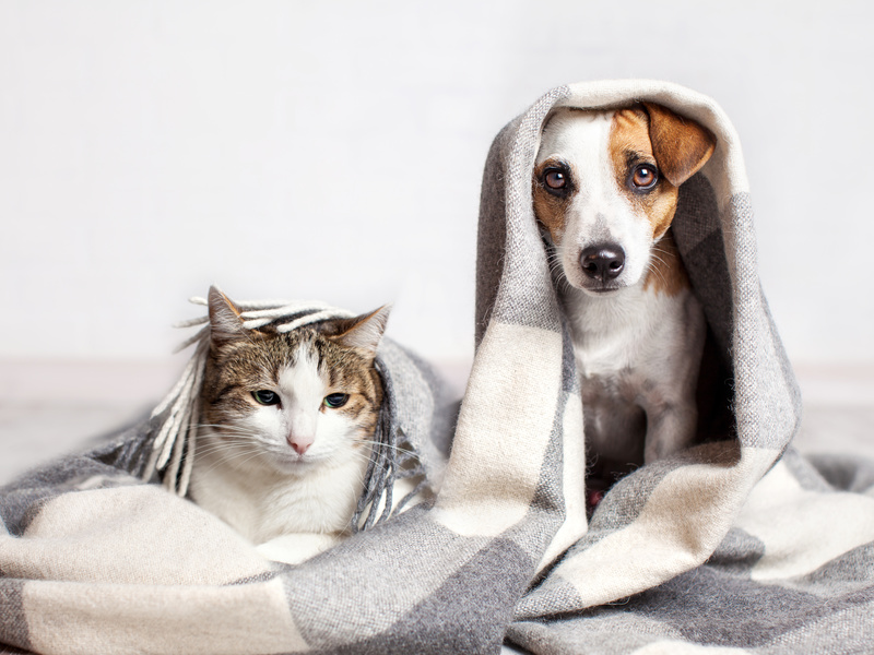 Cost Effective Ways to Keep Your Home Warm in Winter