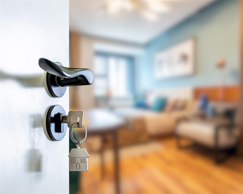 Property Market Review and the Outlook for 2020