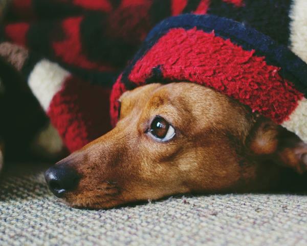 Coping with Loadshedding in Winter