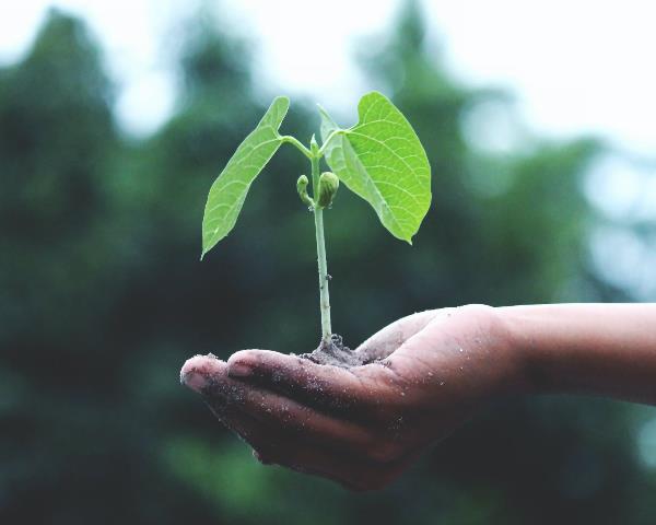 Preparing Your Soil for Spring and Summer Planting