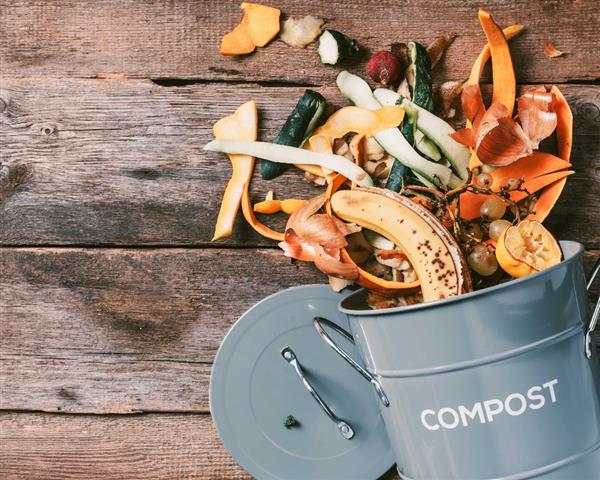 Create Your Own Compost Heap