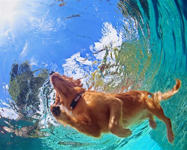 Beat the Heat this Summer!