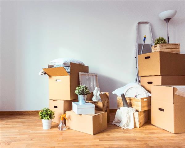 Mastering Moving Day