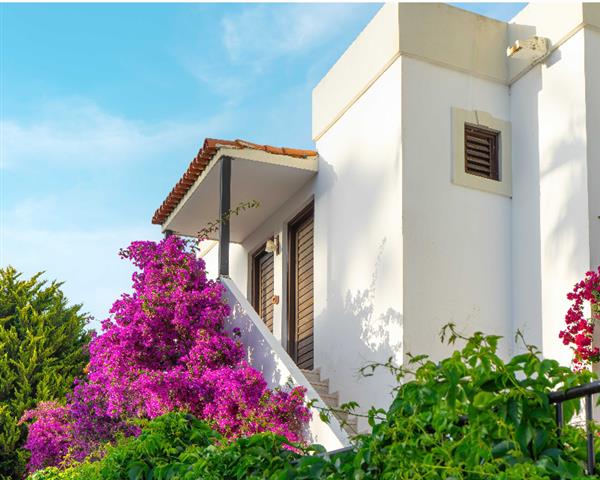 Spring Changes More Than the Garden - It Changes the Buyer