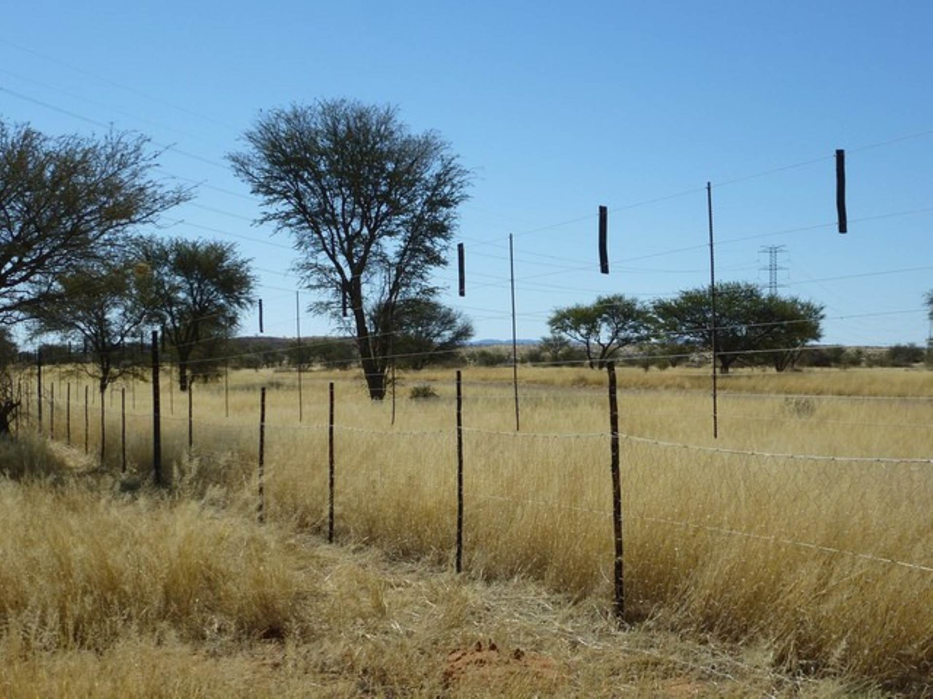 Farm For Sale In Rehoboth, Rehoboth, Namibia for NAM 1,650,000