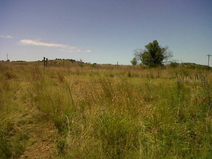 Farm For Sale in VAAL DAM, Vaal Dam Picture 4