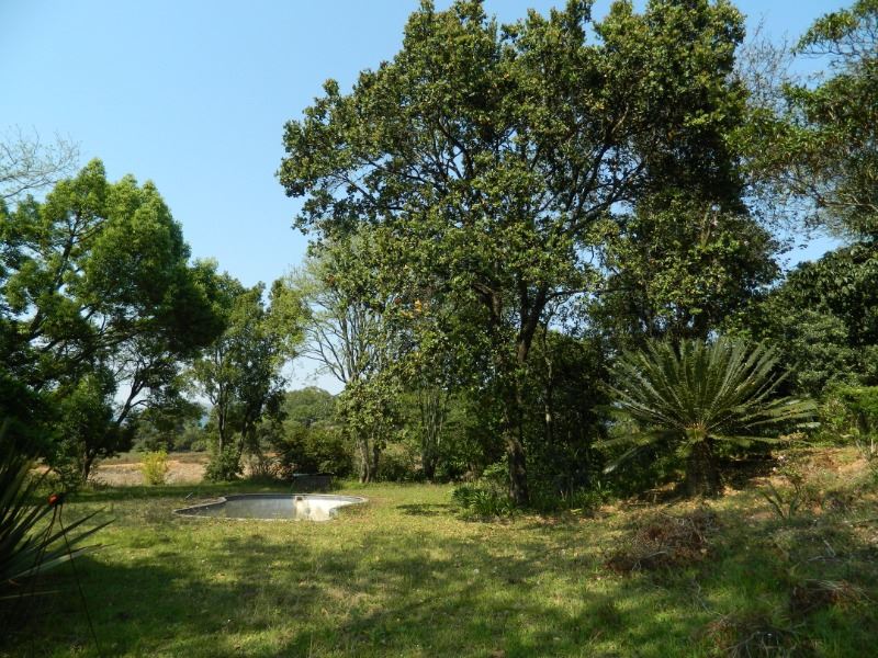 Farm For Sale in Agatha, TZANEEN Picture 3