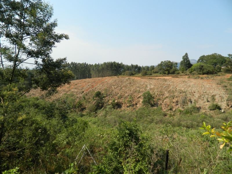 Farm For Sale in Agatha, TZANEEN Picture 4