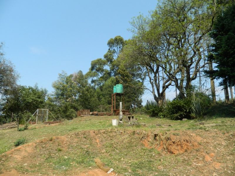 Farm For Sale in Agatha, TZANEEN Picture 7
