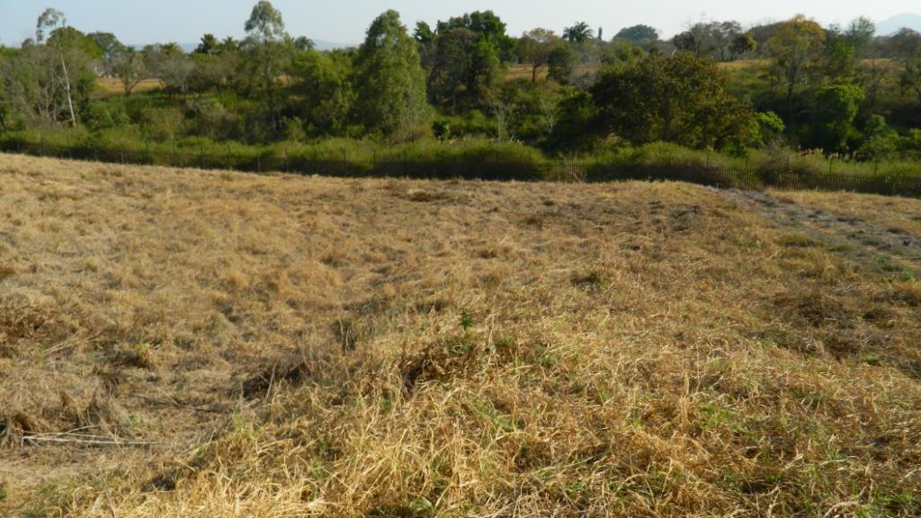 Vacant Land Agricultural For Sale in TZANEEN, TZANEEN Picture 2
