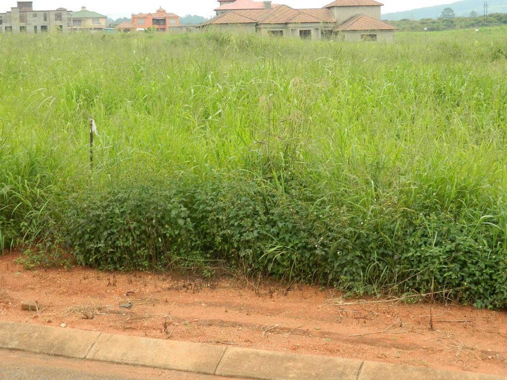 Vacant Land Agricultural For Sale in TZANEEN, TZANEEN Picture 1