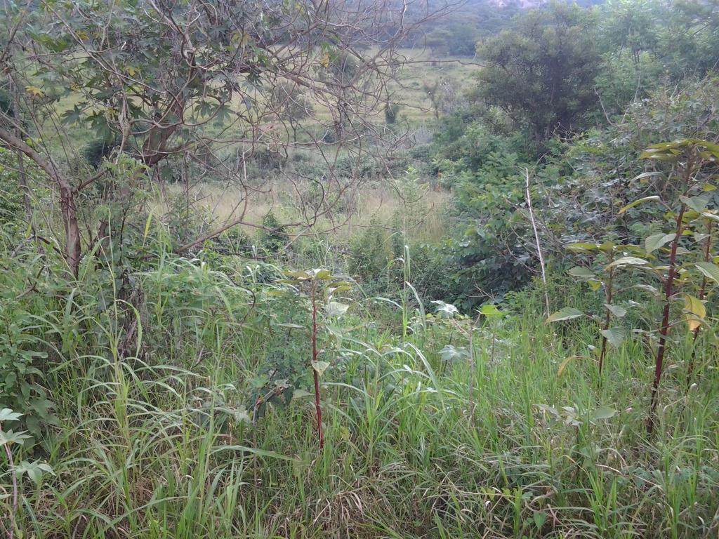Vacant Land Residential For Sale in STONEHENGE EXT 1, NELSPRUIT Picture 1