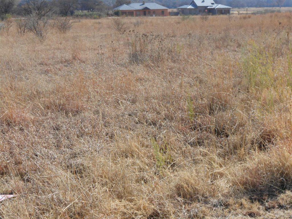 Vacant Land Residential For Sale in Parys Golf & Country Estate, PARYS Picture 3