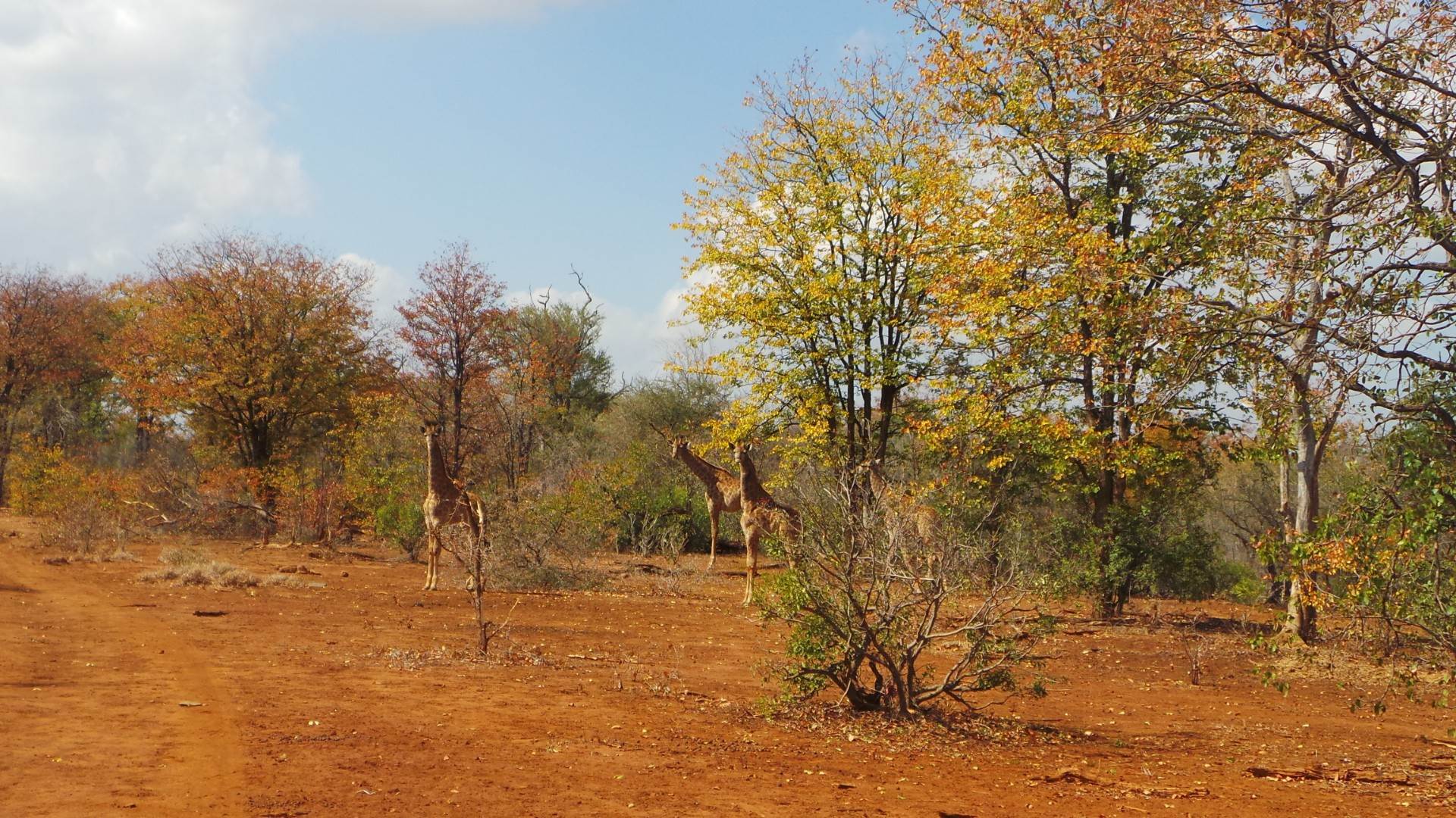 Landlotto Landlotto
