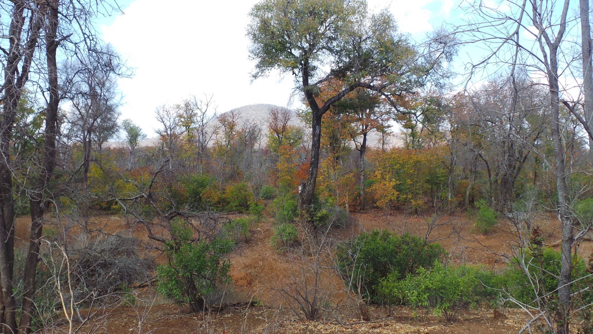 Landlotto Landlotto