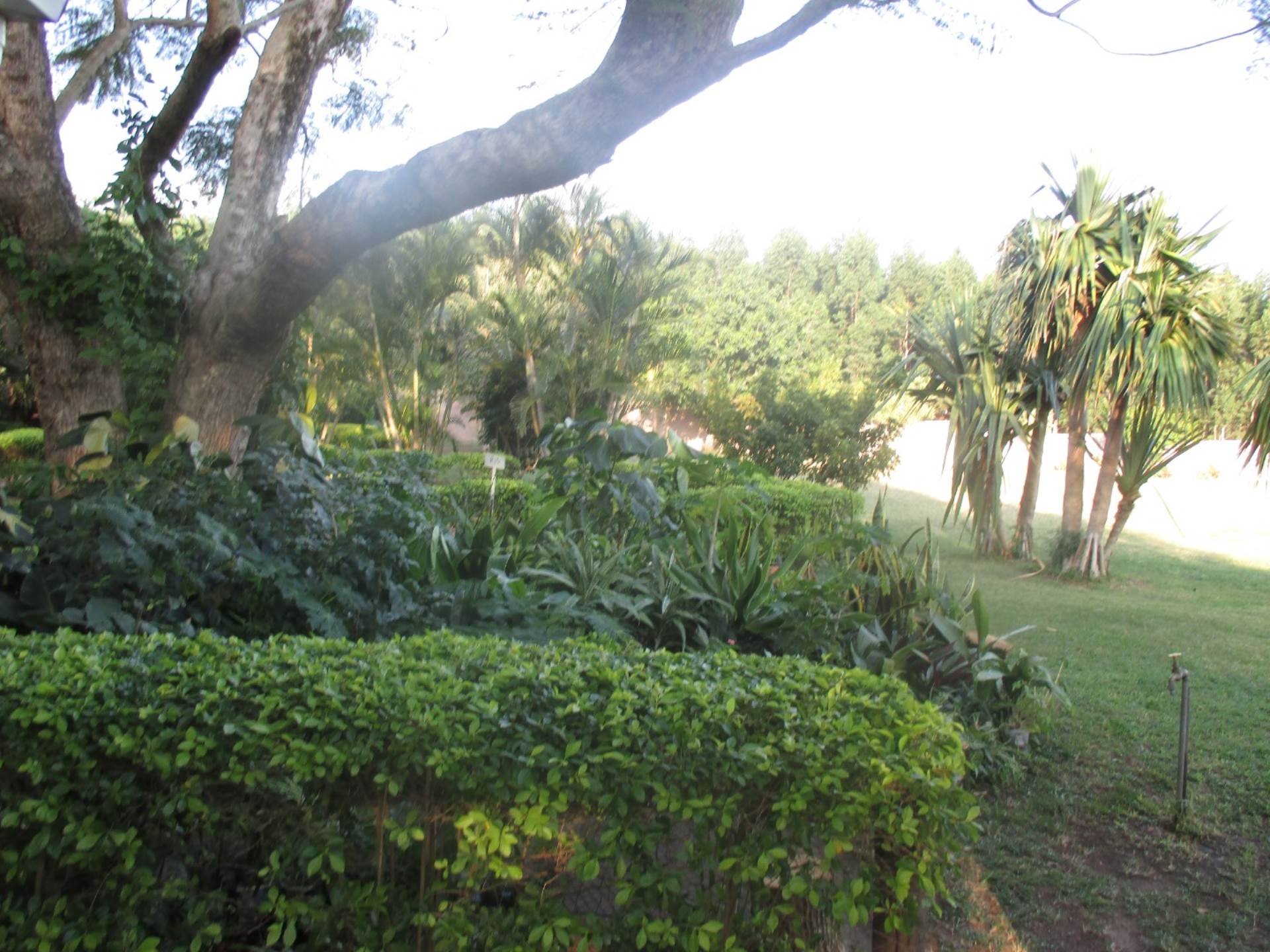 Mtubatuba House For Sale in MTUBATUBA, MTUBATUBA for sale in KwaZuluNatal (ID388284461)