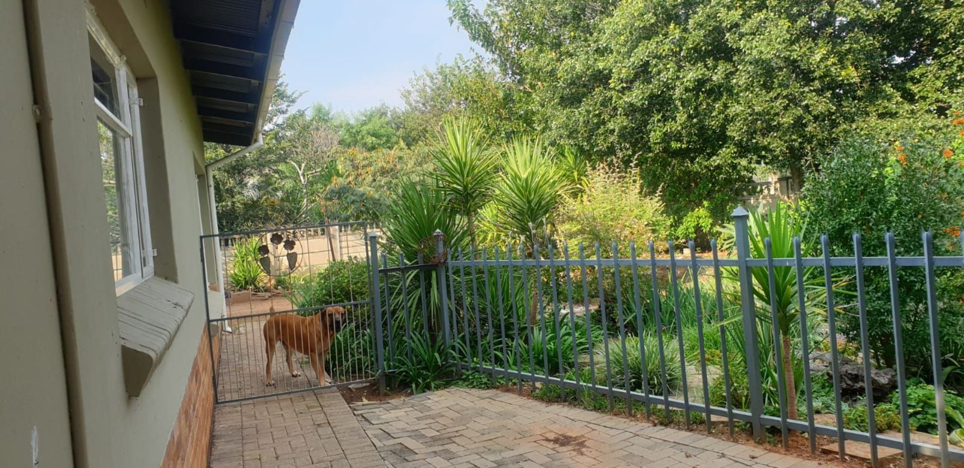 Hospitaalpark Property property and houses for sale in Hospitaalpark