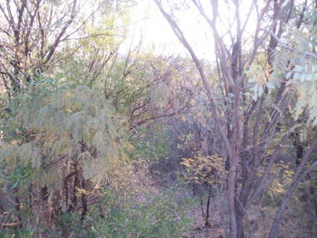 Vacant Land Residential For Sale in XANADU, HARTBEESPOORT Picture 7