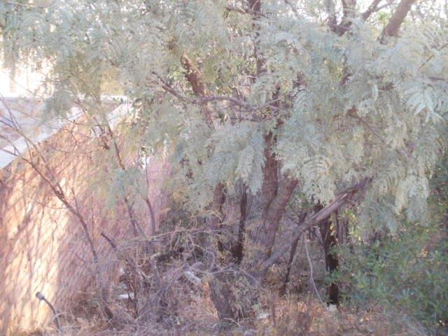 Vacant Land Residential For Sale in XANADU, HARTBEESPOORT Picture 8