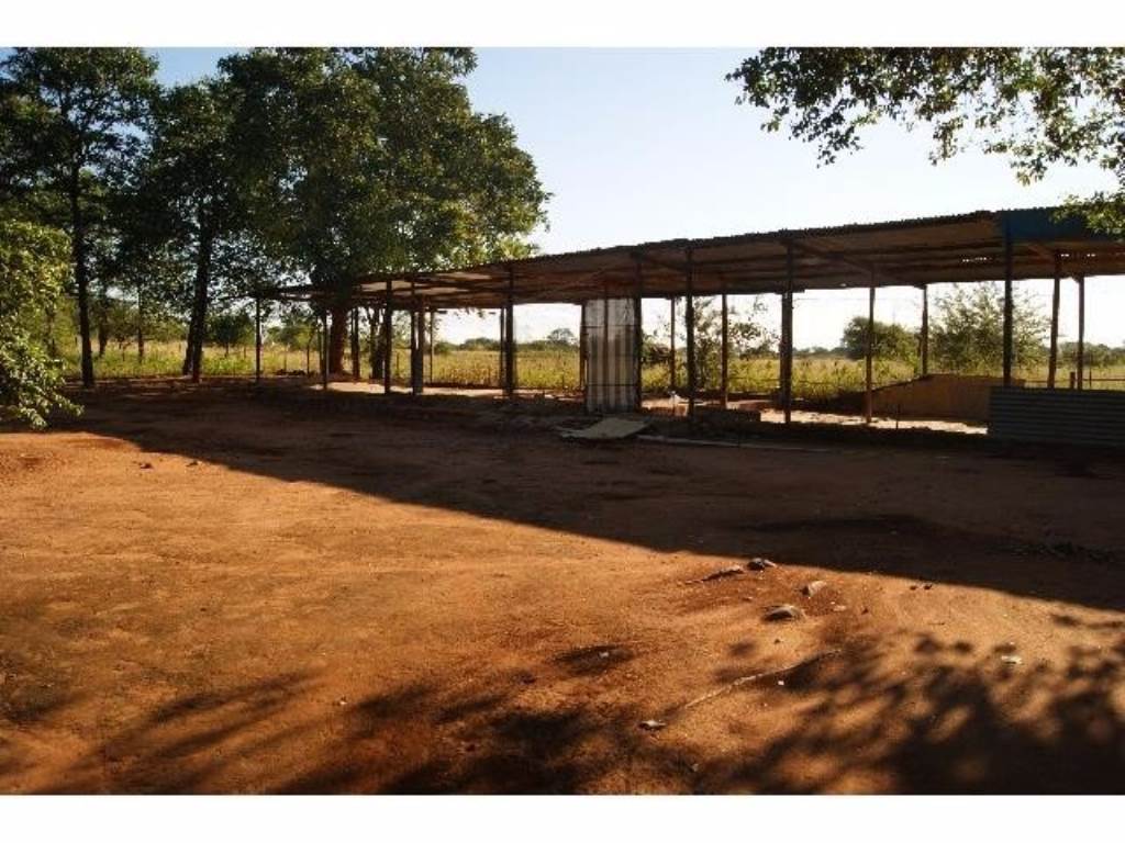 Farm For Sale in TZANEEN, TZANEEN Picture 9