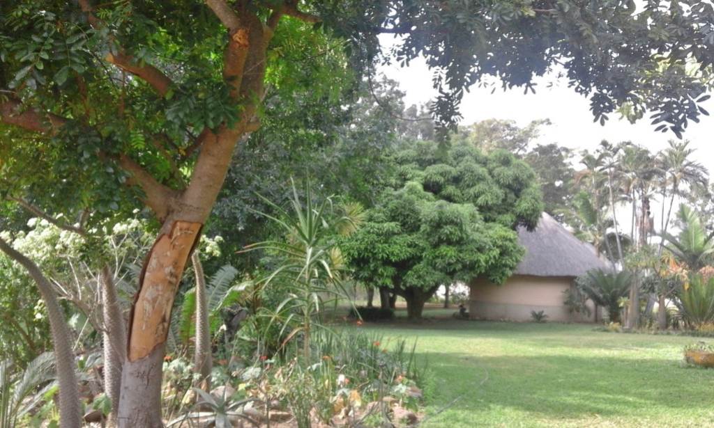 Farm For Sale in GUERNSEY, HOEDSPRUIT Picture 1
