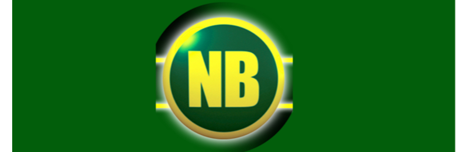 NB Properties office logo
